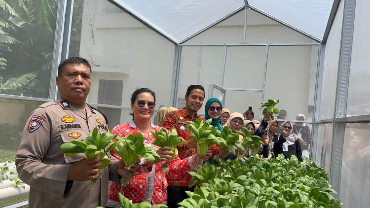 Bhabinkamtibmas Kelurahan Nagapitu, Aiptu S. Ambarita, menghadiri penutupan pelatihan hidroponik yang berlangsung di Kantor Kelurahan Nagapitu, Jln. Rabaik Purba, pada Kamis (11/9/2025) pagi.
