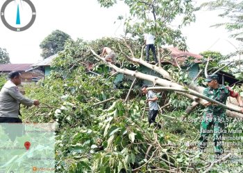 Polseķ Sianțar Marihat gotong royong bersama masyarakat, membersihkan material rumah terkena pohon tumbang, di Jl. Suka Mulia Pematangsiantar, pada Rabu (24/9/2025) pagi.
