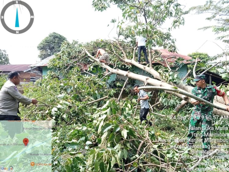 Polseķ Sianțar Marihat gotong royong bersama masyarakat, membersihkan material rumah terkena pohon tumbang, di Jl. Suka Mulia Pematangsiantar, pada Rabu (24/9/2025) pagi.