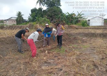 Bhabinkamtibmas Kelurahan Sumber Jaya, AIPTU Ramses M. Tambungn bersama masyarakat, Bapak Harapan Silalahi, tanam jagung di perladangan Jalan Sumber Jaya 2, pada Senin (20/10/2025) pagi.