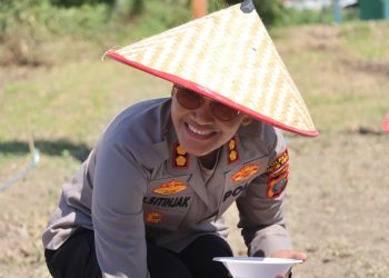 Kapolres Pematangsiantar, AKBP Sah Udur T.M. Sitinjak SH, SIK, MH, pimpin kegiatan penanaman jagung serentak Kuartal IV Tahun 2025, di Jl. Bahkora II, pada Rabu (8/10/2025) pagi.