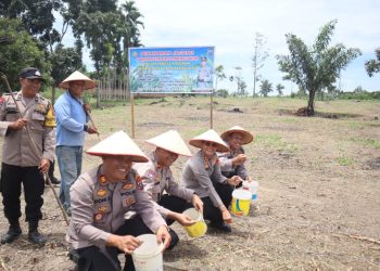 Kapolres Pematangsianțar, AKBP Sah Udur T.M. Sitinjak SH, SIK, MH, bersama para Pejabat Utama (PJU) melaksanakan penanaman jagung, di Jalan Melanthon Siregar, Gang Kuku Balam, pada Selasa (30/9/2025) siang.
