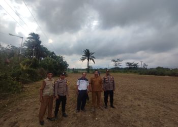 Kanit Binmas, IPTU Marbudi dan Bhabinkamtibmas, BRIPKA Sunandar, sambang dan sekaligus dampingi warga, Pendeta Panjaitan, sedang tanam jagung di Tojai Lama, pada Selasa (21/10/2025) siang.