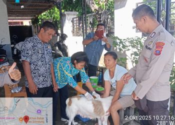 Polsek Siantar Timur melaksanakan pendampingan vaksin rabies hewan peliharaan milik warga binaan, di Jalan Sawi, pada  Kamis (2/10/2024) pagi.