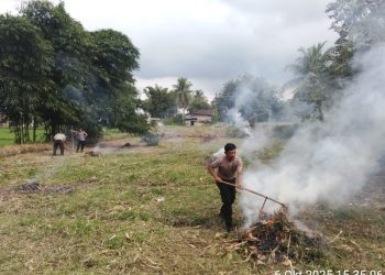 Kapolsek Siantar Marihat, AKP Doni Simanjuntak SH, bersama Bhabinkamtibmas Marihat Jaya, Aipda Erick F. Marbun, membersihkan perladangan jagung milik  warga, Bapak Dapot Ompung Sunggu, di Jalan Bahkora II, pada Senin (6/10/2025) sore.