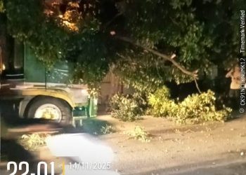 Polsek Siantar Martoba cek pohon tersangkut pada bak gandengan truk kontainer, di Jalan Medan depan RS Murni Teguh Horas Insani, pada Jumat (14/11/2025) malam.