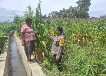 Bhabinkamtibmas Kelurahan Simarimbun, Bripka Johannes Siregar, melaksanakan sambang warga binaan, di Perladangan Jagung, Jalan Pattimura Ujung, pada Sabtu (1/11/2025) siang.