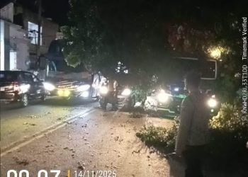 Personil Polsek Siantar Martoba respon cepat laporan masyarakat dengan melakukan pengecekan Tempat Kejadian Perkara (TKP) pohon tersangkut pada bak gandengan truk kontainer yang terjadi di Jalan Medan, pada Jumat (14/11/2025) malam.