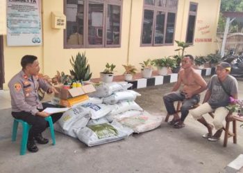 Kapolsek Siantar Barat  IPTU Raja Kaya Haloho SH, MH, bersama P.S Kanit Binmas, Aiptu S. M. Purba dan Bhabinkamtibmas, distribusikan bantuan pertanian kepada warga pertani binaan Polsek Siantar Barat.