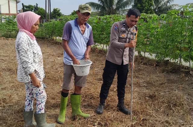 Bhabinkamtibmas Kelurahan Baru, AIPDA Yudi Patra, sambangi lahan warga binaan, Bapak Manurung, di Jalan Haranggaol, Kelurahan Bah Kapul, pada Senin (5/1/2026) pagi.