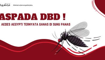 Waspada DBD, Nyamuk Aedes Aegypti Ternyata Ganas di Suhu Panas !