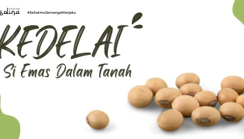 Kedelai, Si Emas dalam Tanah