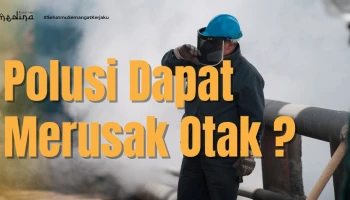 Polusi Dapat Merusak Otak ?  Berikut 7 Cara Membantu Melindungi Otak Sahabat Medina Dari Polusi Udara