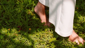 Menemukan Ketenangan dalam Kehidupan dengan Mindfulness