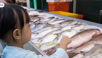 Tips Memilih Seafood yang Aman Dikonsumsi