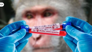 Waspada Penyebaran Monkeypox di Kalangan Seksual Sesama Jenis