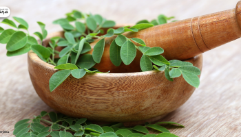 Rahasia Daun Kelor: Superfood Alami dengan Segudang Manfaat dan Cara Mudah Mengolahnya