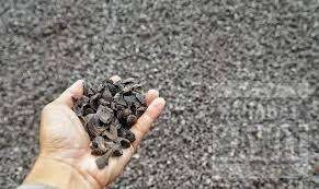 Limbah Sawit Jadi Uang, IPB: Potensi Besar Tapi Terhambat Regulasi