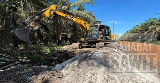 Sinar Mas Tebang 600 Sawit, Buka Akses Listrik ke Pedalaman Ketapang
