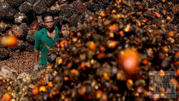 Mendag Pastikan IEAEU FTA Dorong Ekspor Sawit, Tekstil, dan Kopi ke Eurasia