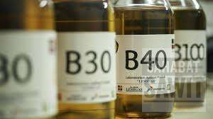 B50 Tertunda, B40 Jalan Terus: Arah Kebijakan Sawit Masih Menggantung