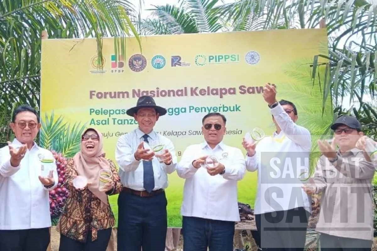 Pemerintah dan GAPKI Lepas Penyerbuk Baru untuk Dongkrak Produksi Sawit