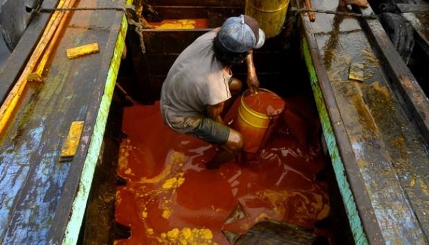 Harga CPO di KPBN Naik, Bursa Malaysia Ikut Menguat: Sinyal Positif untuk Industri Sawit