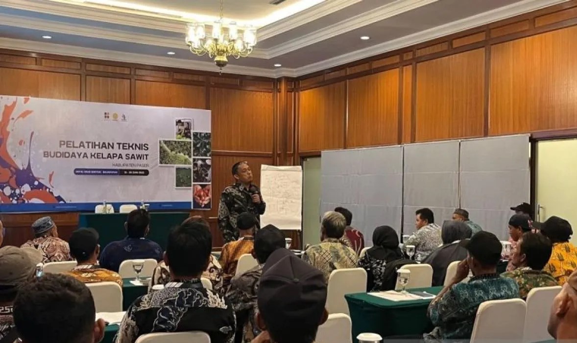 Kolaborasi BPDP dan Mutu Institute Tingkatkan Kapasitas Petani Sawit Kaltim