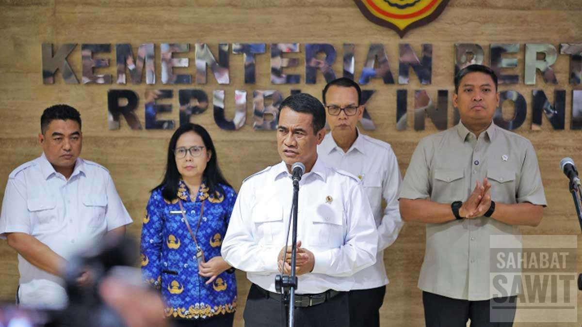 Harga TBS Sawit Pulih, Amran Klaim 90 Persen Perusahaan Sudah Penyesuaian Harga