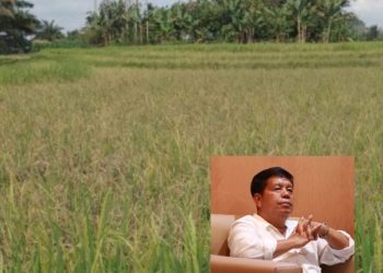 Terinspirasi Bangkok, RHS: Kelak Petani Simalungun Berdaulat Tentukan Harga