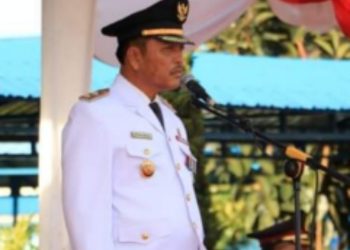 Wakil Bupati Simalungun Minta ASN Bersikap Netral di Pilkada