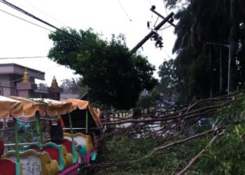 Petir Menggelegar di Siantar, Pohon Tumbang, Trafo PLN Meledak