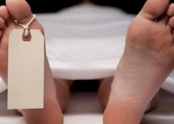 Ibu Dicekik dan Hendak Ditikam, Adik Terpaksa Habisi Nyawa Abang