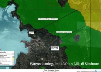 Lilis Daulay Merasa Nama Baiknya Dicemarkan Terkait Banjir Parapat
