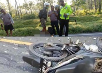 Tabrakan dengan Avanza di Limbong, Pemotor Kritis Lalu Meninggal