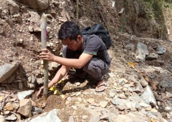 Antisipasi Erosi dan Banjir, Mahasiswa USI dan Jalin Sumut Tanam Bibit Bambu di Parapat