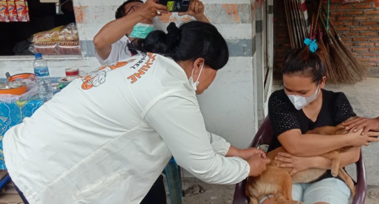 Ratusan Anjing di Siantar Divaksin Rabies oleh Dinas Hanpangtan