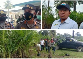 Bila Tanaman Sawit Dirusak, Direksi PTPN III dan Kebun Bangun Akan Bersikap Tegas