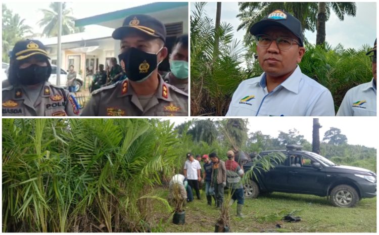 Bila Tanaman Sawit Dirusak, Direksi PTPN III dan Kebun Bangun Akan Bersikap Tegas