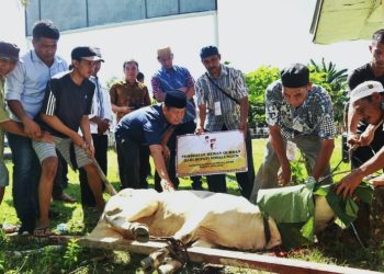Idul Adha1443, Keluarga Bupati Simalungun Serahkan 22 Hewan Kurban