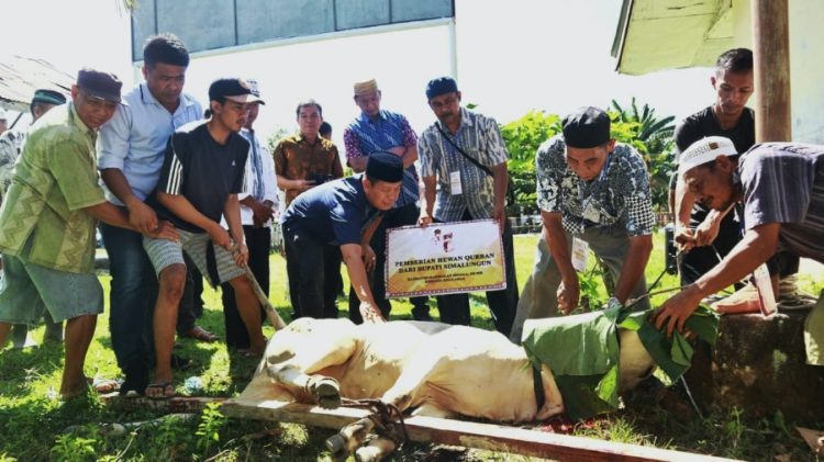 Idul Adha1443, Keluarga Bupati Simalungun Serahkan 22 Hewan Kurban