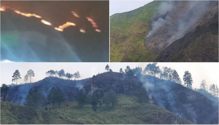 30 Hektar Hutan Lindung Terbakar di Purba dan Haranggaol, Asal Api dari Perladangan