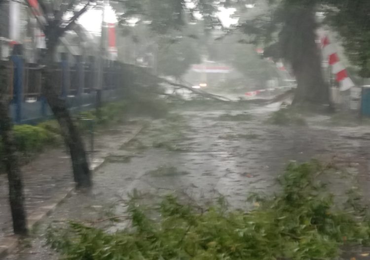 Angin Puting Beliung di Siantar, Pohon dan Bilboard Tumbang Menimpa Mobil