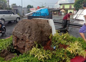 Fakta Dibalik Puting Beliung dan Tumbangnya Bilboard di Depan Hotel Sapadia