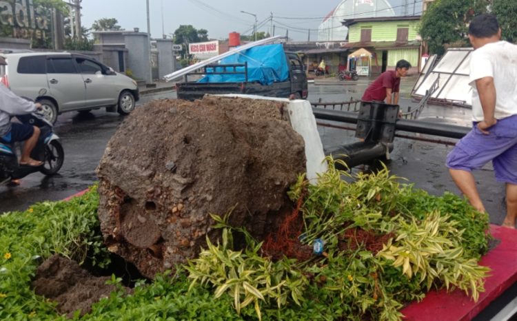 Fakta Dibalik Puting Beliung dan Tumbangnya Bilboard di Depan Hotel Sapadia