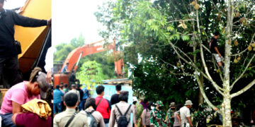 Warga duduki eskapator dan ada yang memanjat pohon untuk mempertahankan rumah agar tidak dibongkar 

Foto :IST