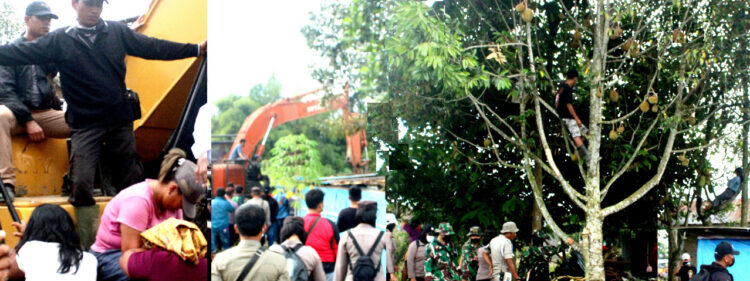Warga duduki eskapator dan ada yang memanjat pohon untuk mempertahankan rumah agar tidak dibongkar 

Foto :IST