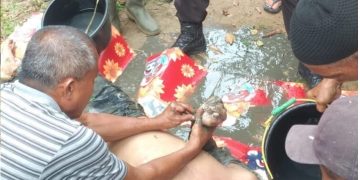 Korban saat  dibersihkan
Foto: IST