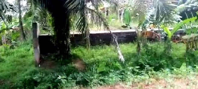 Kondisi jembatan yang mangkrak