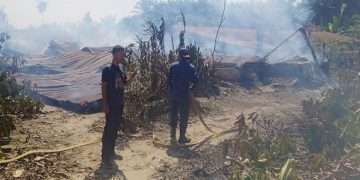 Petugas Damkar memadamkan api